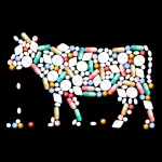 Antibiotici nella carne degli allevamenti