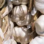 Proprietà dell' aglio: benefici per la salute. Come coltivare l' aglio in casa