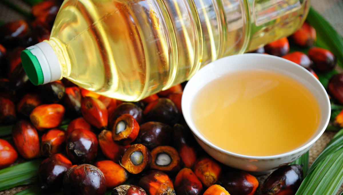 Olio di palma: cos'è e perchè evitarlo