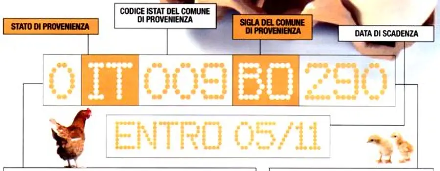 Le uova nella dieta: uovo in camicia, alla cocque, uovo sodo, frittata