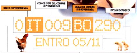 Le uova nella dieta: uovo in camicia, alla cocque, uovo sodo, frittata