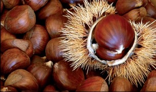 Castagne nella dieta: a merenda 100 grammi di castagne lessate apportano 126 calorie