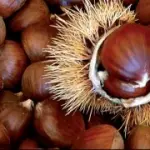 Castagne nella dieta: a merenda 100 grammi di castagne lessate apportano 126 calorie