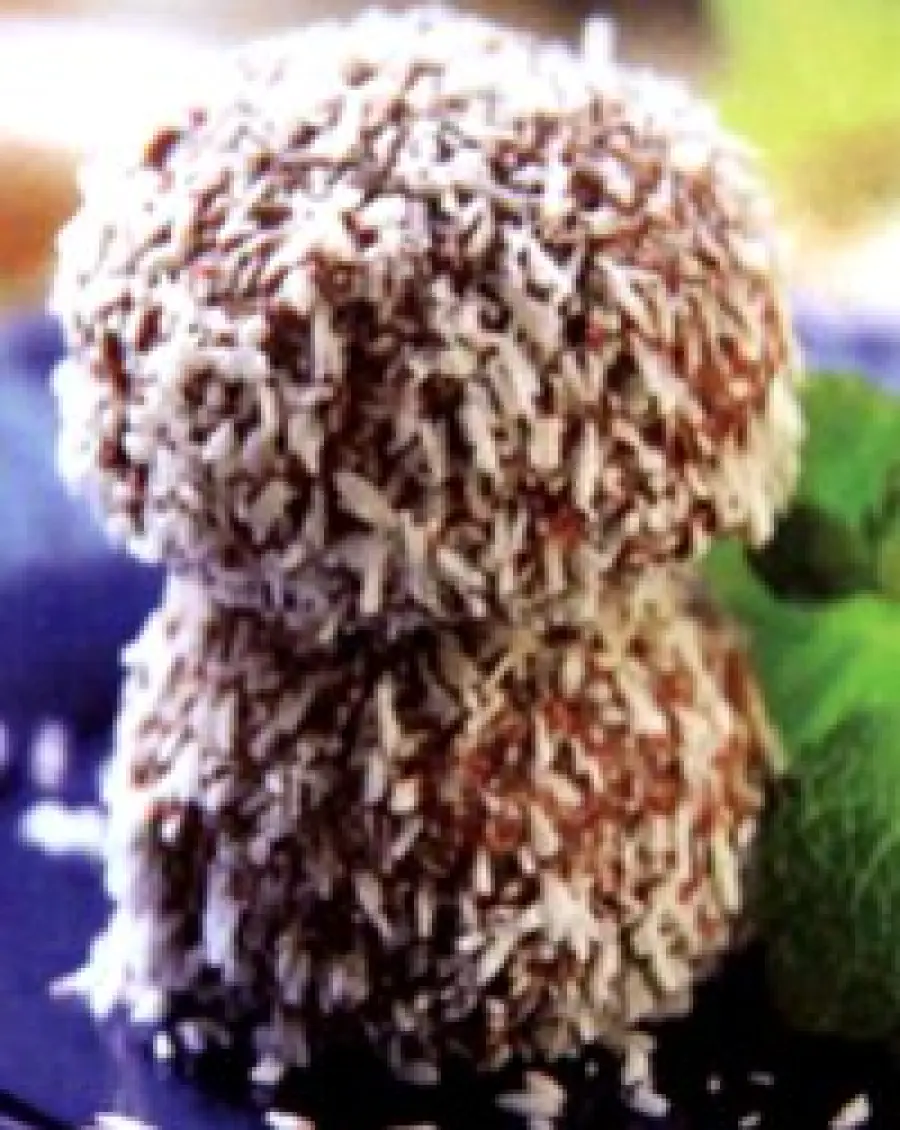  Ricetta dolci dietetici con polvere di psillio, mandorle, cocco, cacao, farina di carrube