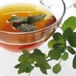 Tisana depurativa-drenante di betulla con la stevia: dolcificante naturaze a zero calorie