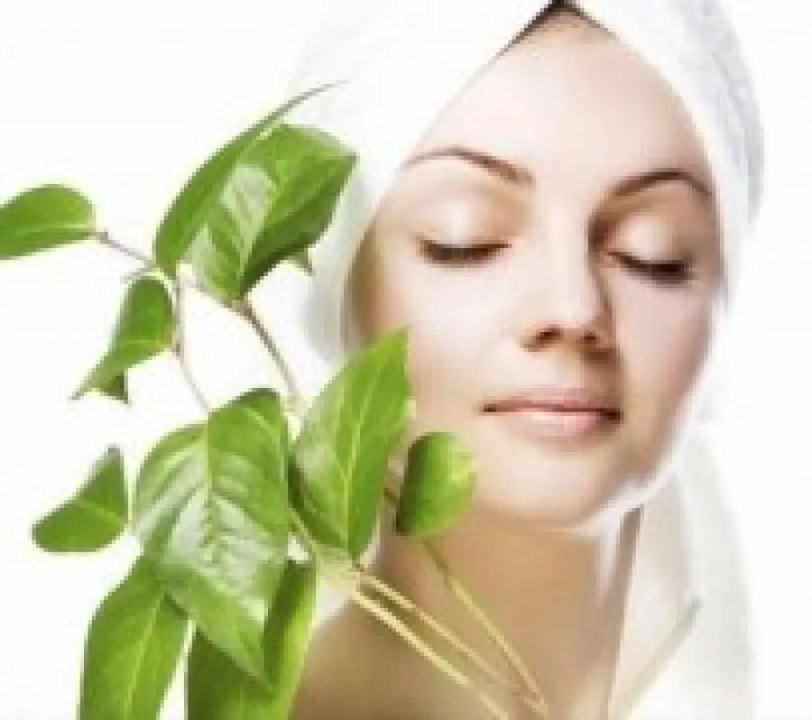 Tisane per acne e brufoli: rimedi naturali e ricette per tisane, decotti infusi