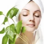 Tisane per acne e brufoli: rimedi naturali e ricette per tisane, decotti infusi