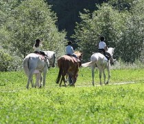 Equitazione: andare a cavallo per ritrovare benessere e per allenare cosce e glutei