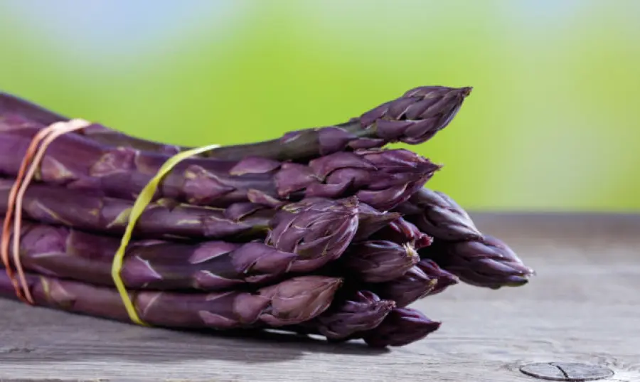 Albenga: prodotti tipici liguri della riviera di Ponente