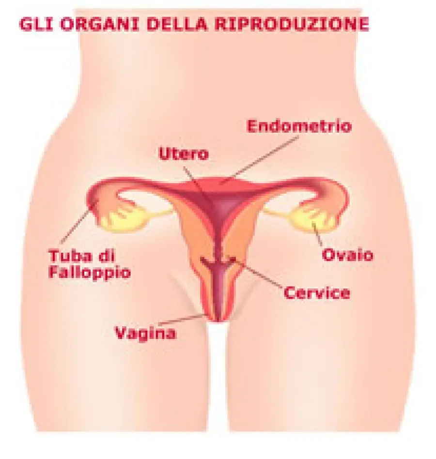 Tumore ovaio nella donna, endometrio e tumore collo dell' utero. Sintomi, diagnosi, cura