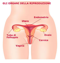 Tumore ovaio nella donna, endometrio e tumore collo dell' utero. Sintomi, diagnosi, cura