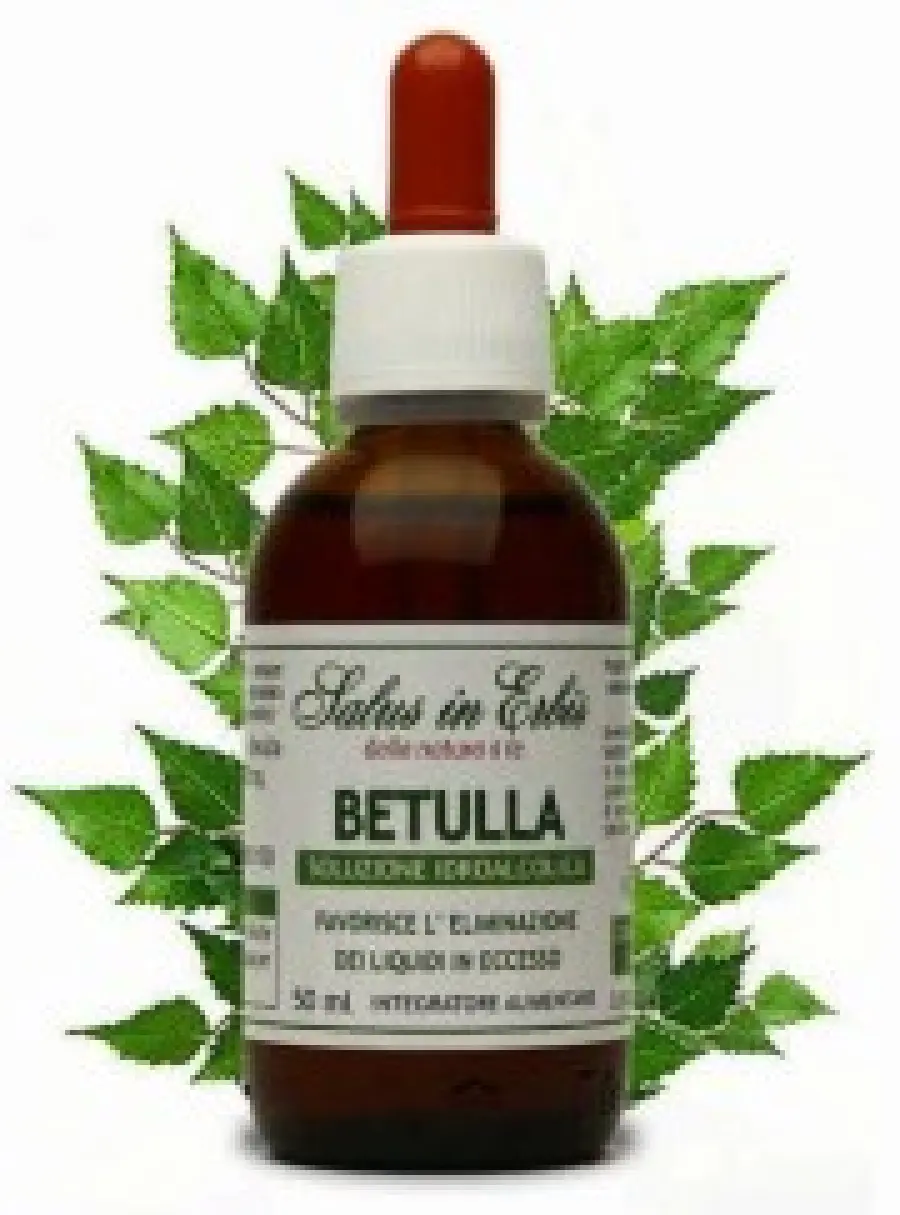 Ritenzione idrica e rimedi naturali: equiseto e betulla per eliminare la ritenzione idrica