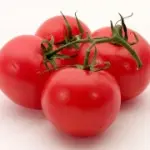 Il pomodoro nella dieta per una sana alimentazione: proprietà del pomodoro e benefici per la salute