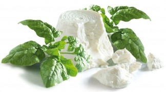 La ricotta: un formaggio dietetico, leggero e con poche calorie ideale nella dieta. Ricette light con la ricotta