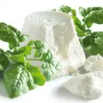 La ricotta: un formaggio dietetico, leggero e con poche calorie ideale nella dieta. Ricette light con la ricotta