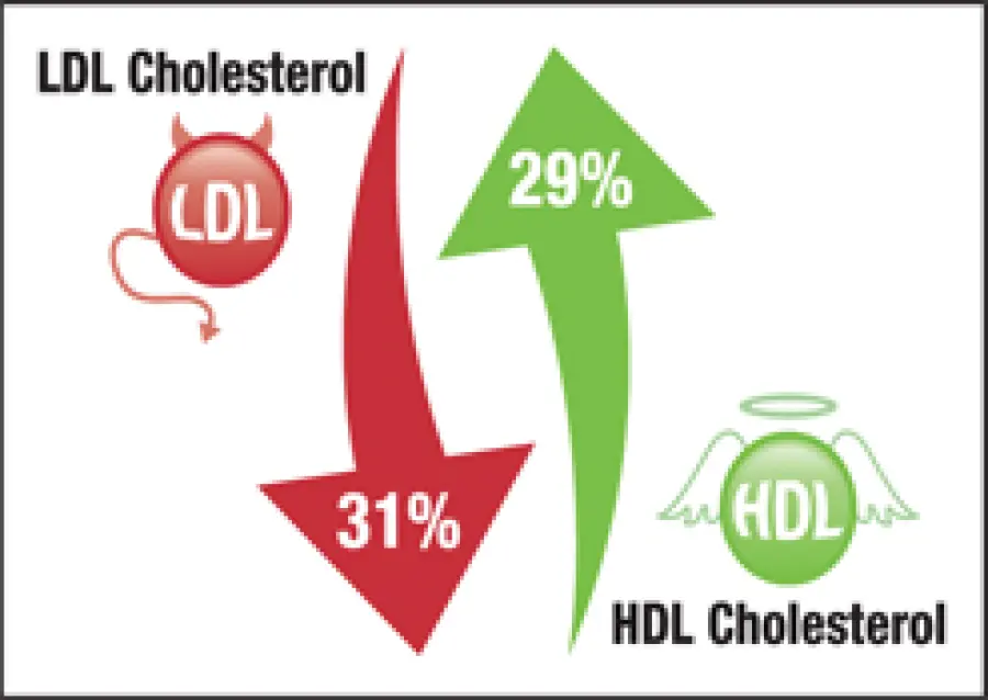 Rimedi naturali contro il colesterolo alto: integratori alimentari di Omega 3, dieta e attività fisica