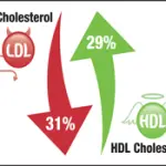 Rimedi naturali contro il colesterolo alto: integratori alimentari di Omega 3, dieta e attività fisica