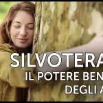 Abbracciare gli alberi: benefici della silvoterapia
