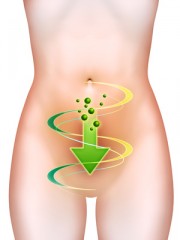 Probiotici per aumentare le difese immunitarie e per la salute dell' intestino: latte e yogurt con probiotici