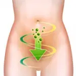 Probiotici per aumentare le difese immunitarie e per la salute dell' intestino: latte e yogurt con probiotici