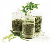 Integratori naturali per la dieta: proprietà dimagranti di Glucomannano, Gymnema e Garcinia