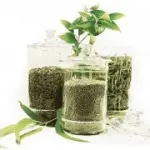 Integratori naturali per la dieta: proprietà dimagranti di Glucomannano, Gymnema e Garcinia