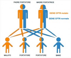 Il test del sudore per la diagnosi della fibrosi cistica. Sintomi fibrosi cistica - Malattie Genetiche Ereditarie