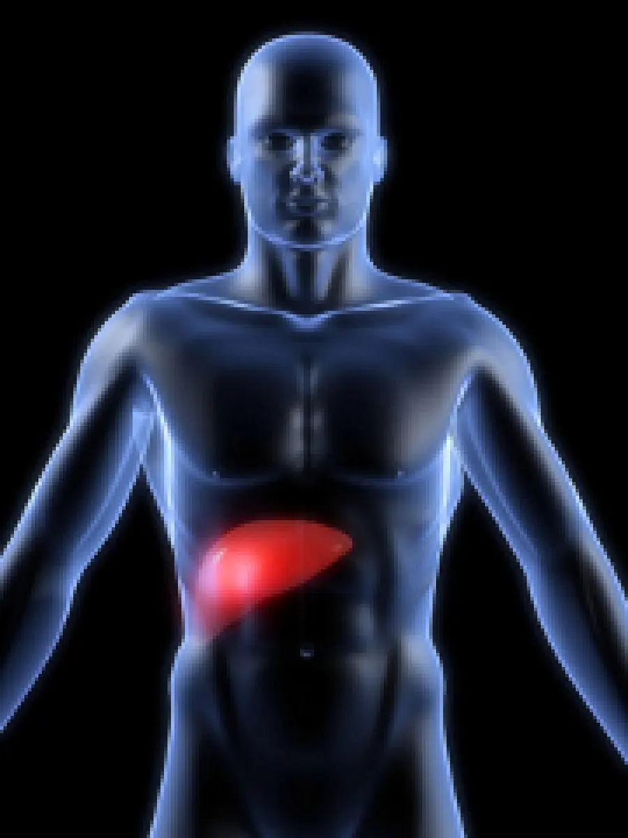 Sintomi malattie del fegato: steatosi (fegato ingrossato e sovrappeso), cirrosi epatica, ittero, epatite