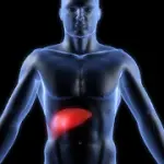 Sintomi malattie del fegato: steatosi (fegato ingrossato e sovrappeso), cirrosi epatica, ittero, epatite