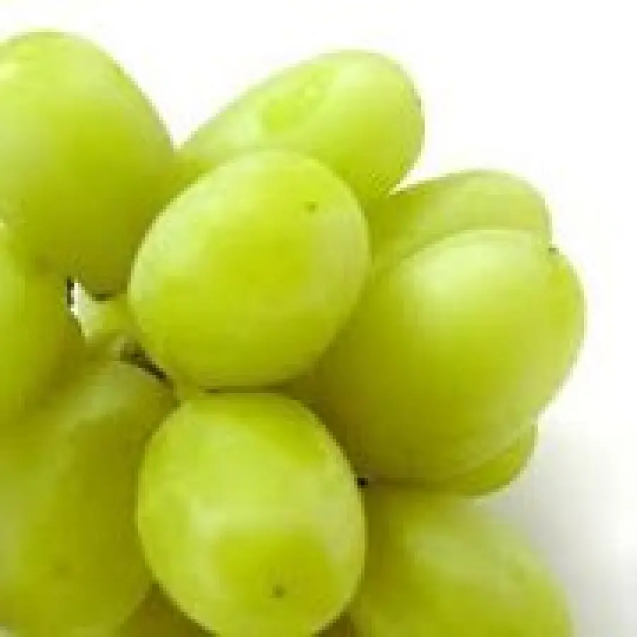 A Dieta con l' Uva: la dieta dell' autunno da 1400 calorie per dimagrire e contro ritenzione idrica e stitichezza