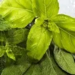 Rimedi naturali contro eritema solare (danni da abbronzatura) e dermatite: bagno con menta e salvia