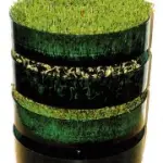 Coltivare i germogli a casa col fai-da-te: germogli di soia, di legumi, di cereali, germogli di erbe di campo