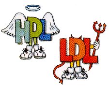 Valori colesterolo (LDL e HDL) e trigliceridi. Analisi mediche, attività fisica e dieta contro il colesterolo alto