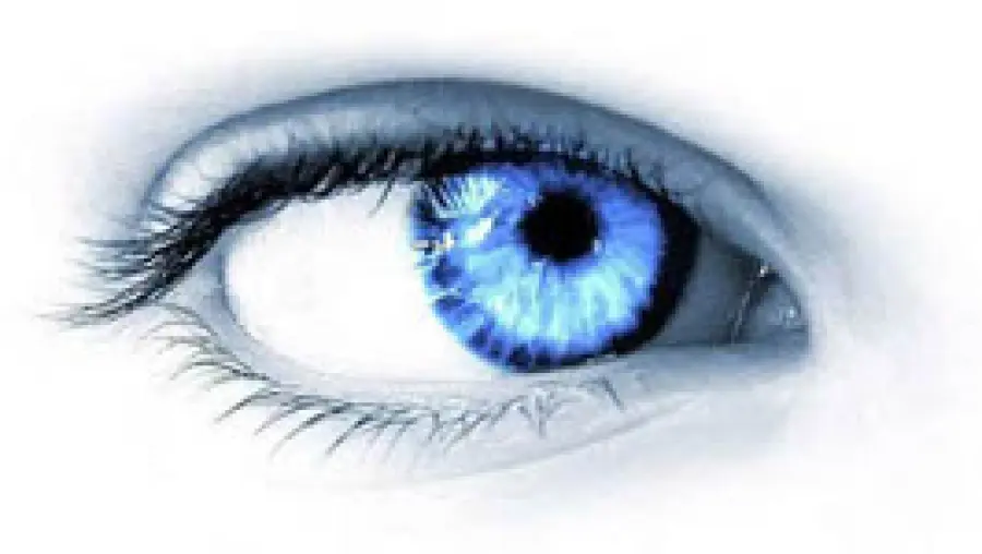 Trapianto di cornea per recuperare la vista. Sintomi e cura cataratta: impianto di cristallino - Salute Occhi