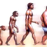 Obesità, dislipidemia (aumento dei grassi nel sangue) e disfunzioni sessuali nell' uomo e nella donna