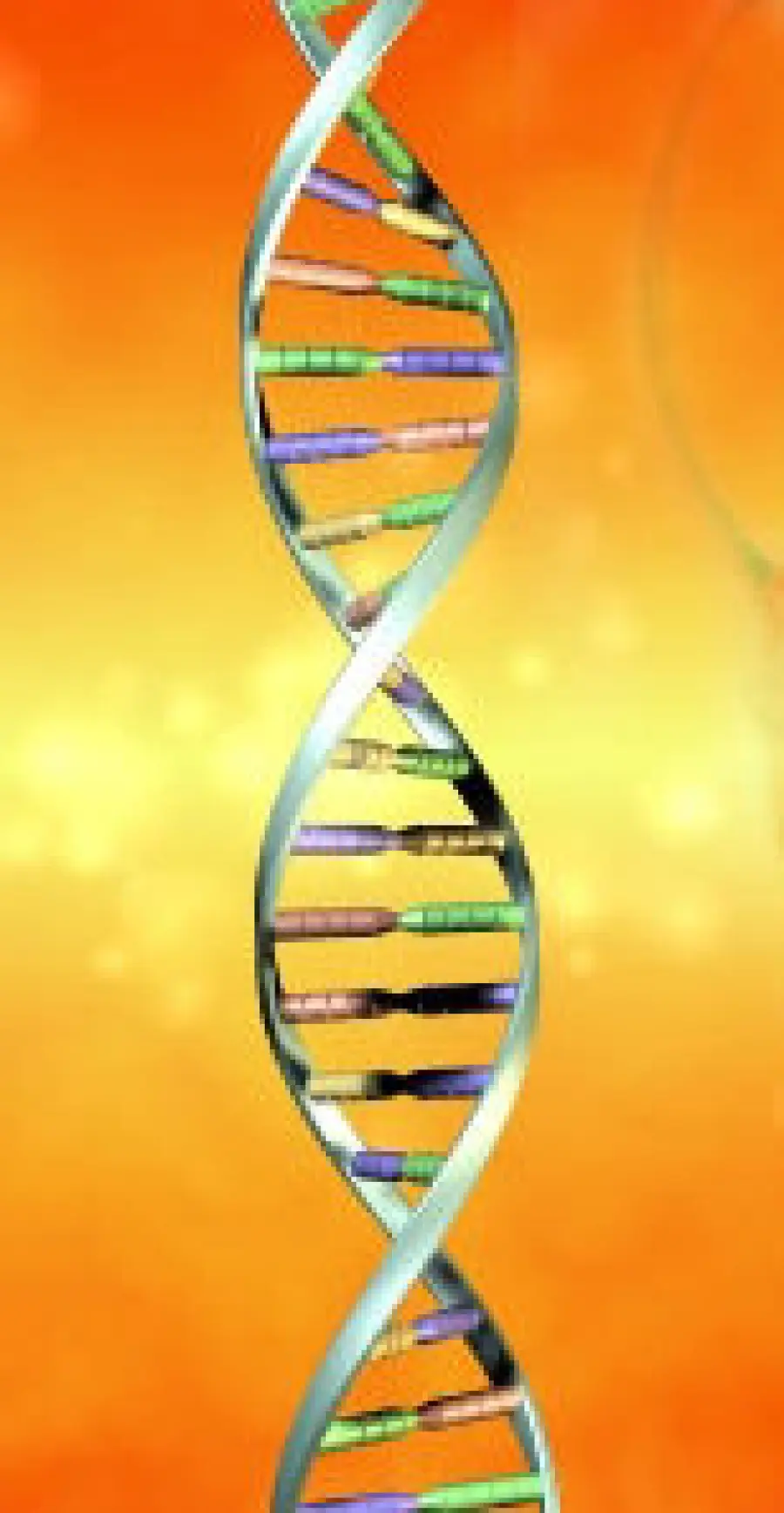 La ricerca Telethon sulle cellule staminali: la proteina Wnt. Cellule staminali e cura di Alzheimer e Parkinson