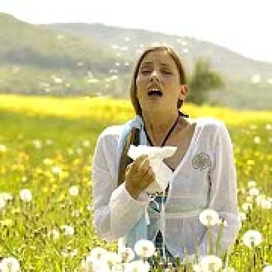 Cura allergia ai pollini e sintomi: congiuntivite, asma, rinite, dermatite. Test e vaccini per l' allergia al polline