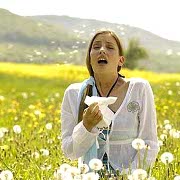 Cura allergia ai pollini e sintomi: congiuntivite, asma, rinite, dermatite. Test e vaccini per l' allergia al polline