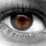 Scoperta e curata una nuova forma di tumore maligno all' occhio: tumore alla ghiandola lacrimale dell' occhio
