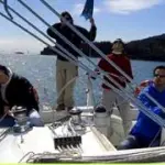 Rimedi naturali contro il mal d' auto, mal di mare e d' aereo: zenzero, essenza di menta e fiori di Bach