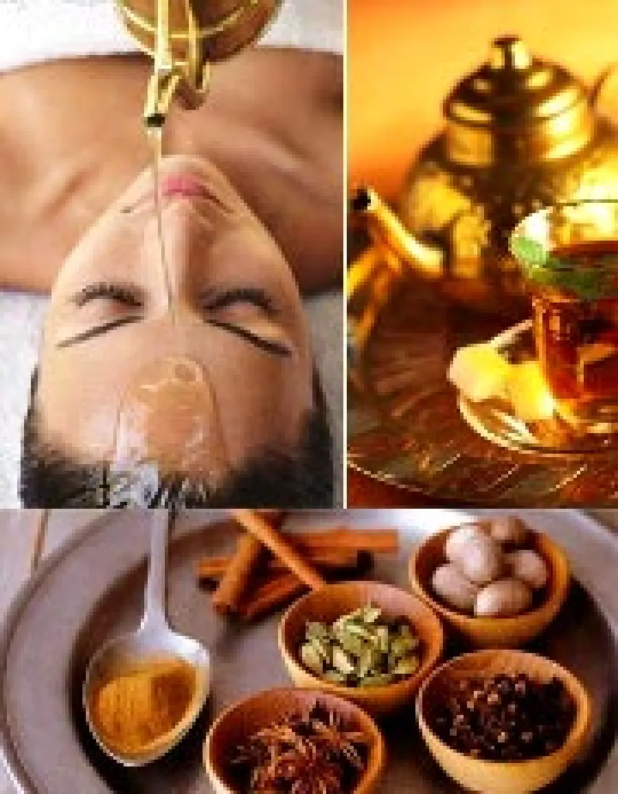 L' ayurveda per depurare e disintossicare l' organismo, per dimagrire, per il sistema nervoso e il benessere