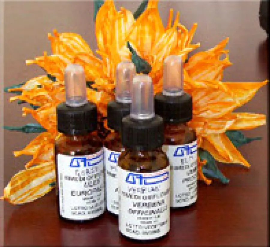 I Fiori di Bach: 38 rimedi naturali per il benessere contro stress, ansia, tristezza e situazioni difficili