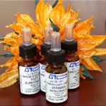 I Fiori di Bach: 38 rimedi naturali per il benessere contro stress, ansia, tristezza e situazioni difficili