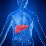 Alimentazione e salute del fegato: evitare le malattie del fegato con una dieta equilibrata e un' alimentazione sana