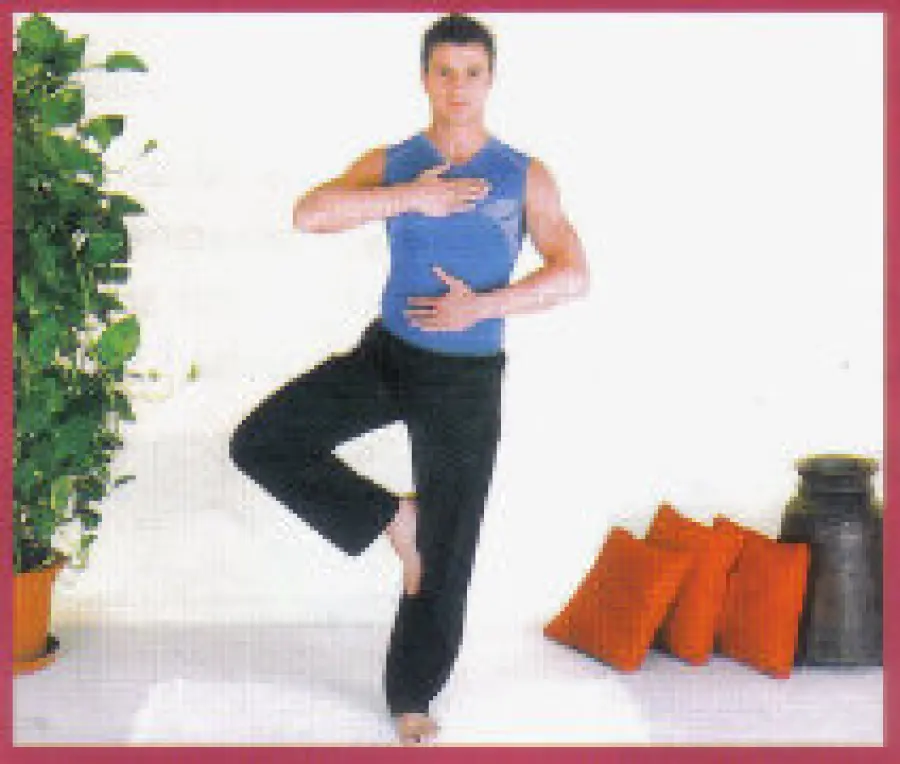 Strike Zone: esercizi di ginnastica per addominali, pancia piatta e glutei sodi. Fitness e ginnastica in casa