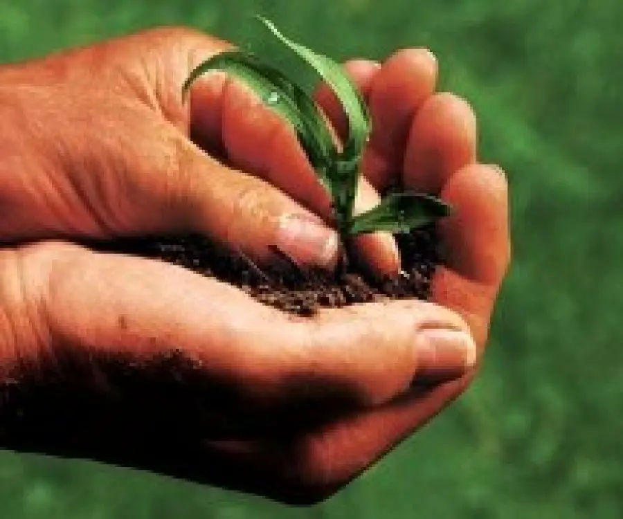 Biolife 2010 a Bolzano dal 19 al 21 Novembre 2010: la fiera-evento della sana alimentazione e del biologico