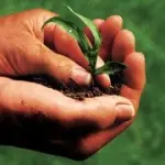 Biolife 2010 a Bolzano dal 19 al 21 Novembre 2010: la fiera-evento della sana alimentazione e del biologico