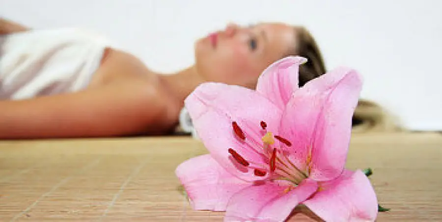 A Caramanico Terme (Parco della Maiella-Pescara-Abruzzo) il Centro Benessere Spa La Réserve