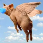 Ricerca-Sondaggio Influenza Suina A-H1N1 in Italia: no al vaccino per l' influenza suina per il 97% degli italiani