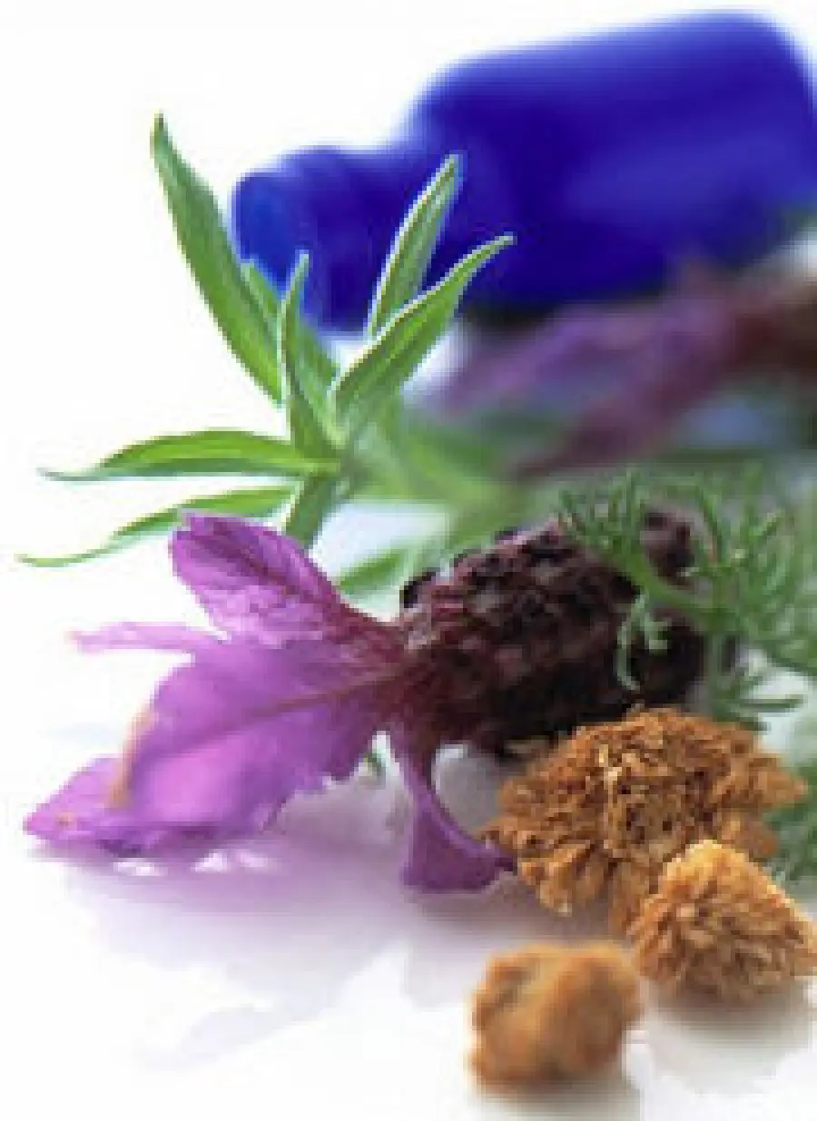 Rimedi naturali per indigestione, brufoli e acne, raucedine e cali di voce, sonnolenza diurna dopo le feste